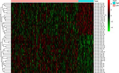 miRNA-Based Signature Associated With Tumor Mutational Burden in Colon Adenocarcinoma